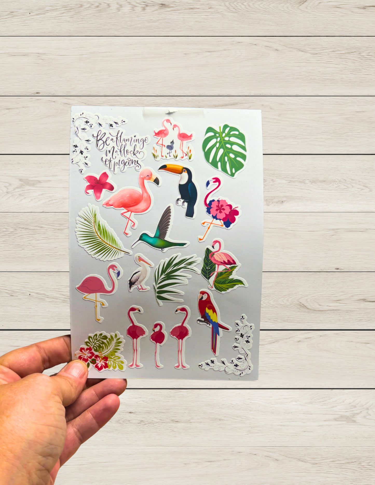 Fancy Flamingo Sticker Sheet 4x6” Matte Finish